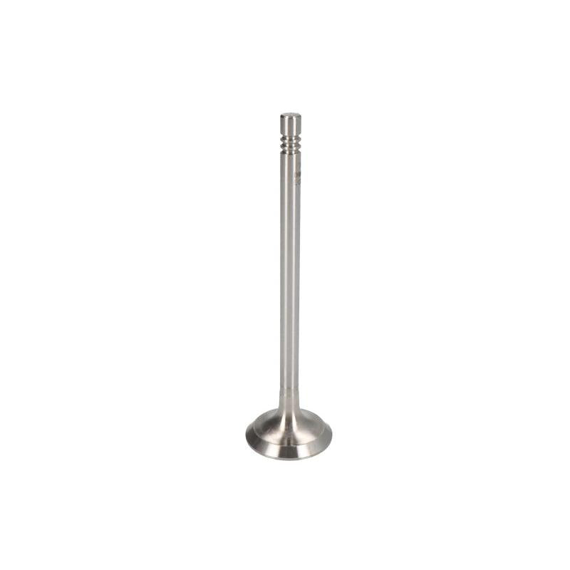 NE 147038000500 Intake Valve