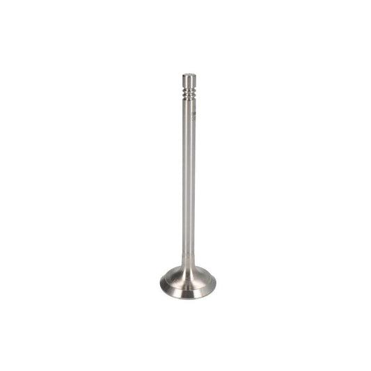NE 147038000500 Intake Valve