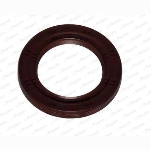 PAYEN NA5332 Crankshaft Shaft Seal