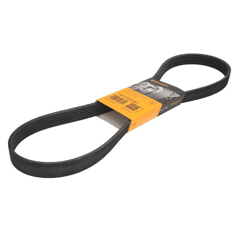 CONTITECH 7PK1179ELAST V-Ribbed Belt