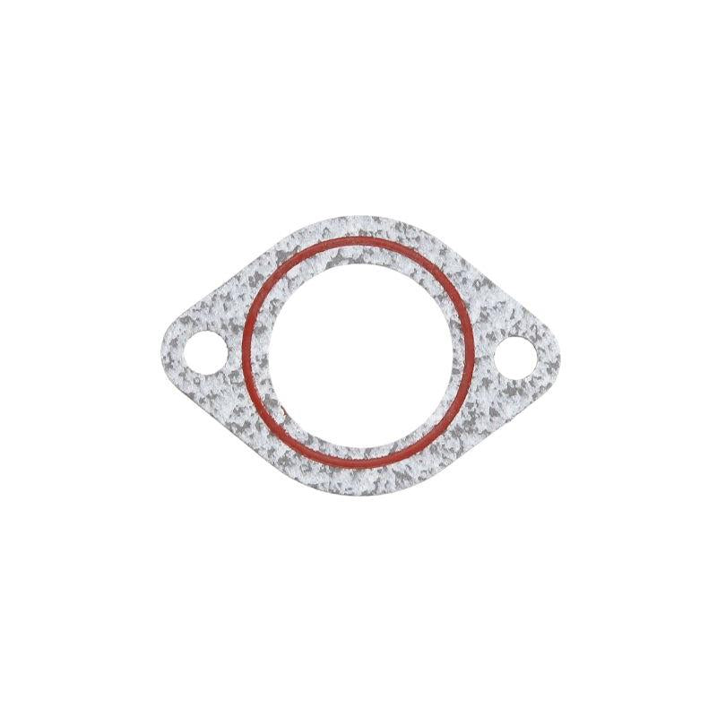 LEMA LE24025.00 Water Pump Gasket