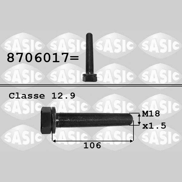 SASIC SAS8706017 Pulley Bolt