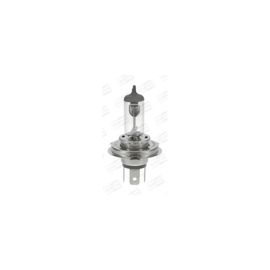 Champion Version   50 Cbh88F Bulb, Spotlight