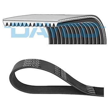 DAYCO DAY14PK1708HD V-Ribbed Belt