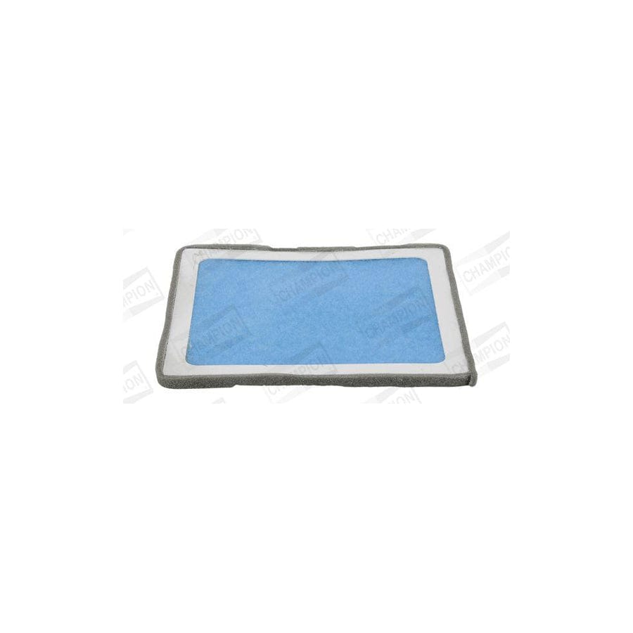Champion Ccf0322 Pollen Filter