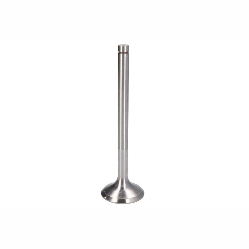 VAPORMATIC VPA1200 Intake Valve