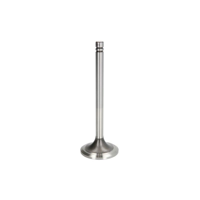 IPD PARTS 8N0875-IPD Exhaust Valve