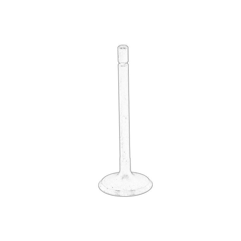 OE PERKINS U20166380-PER Intake Valve