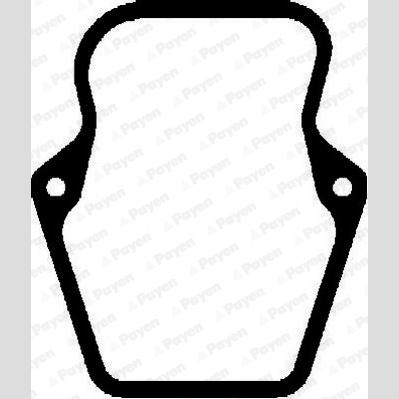 PAYEN JM7043 Cylinder Head Cover Gasket