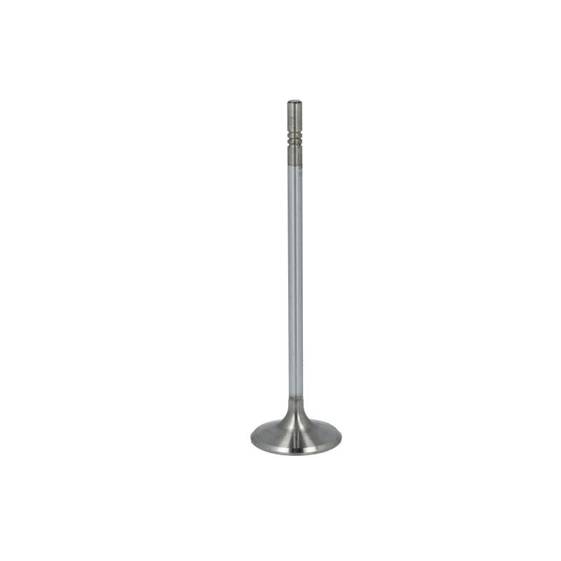 NE 147035000700 Intake Valve