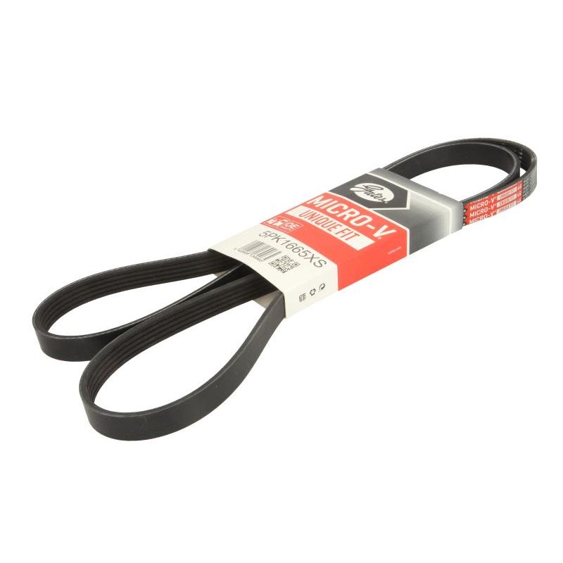 GATES GAT5PK1665XS V-Ribbed Belt