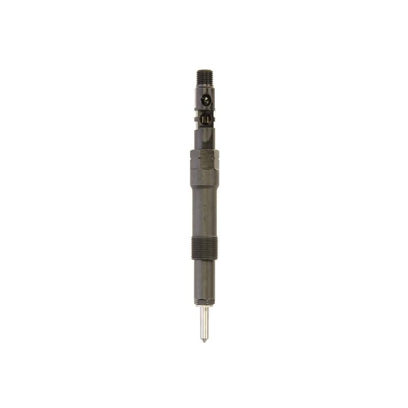 DELPHI R01101D Injector