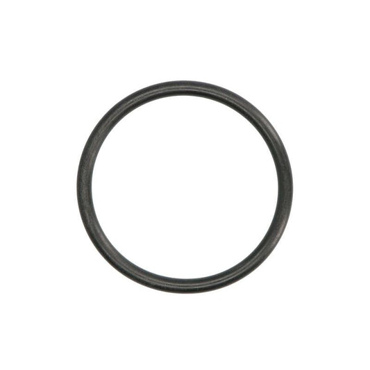LEMA LE108087 Water Pump Gasket
