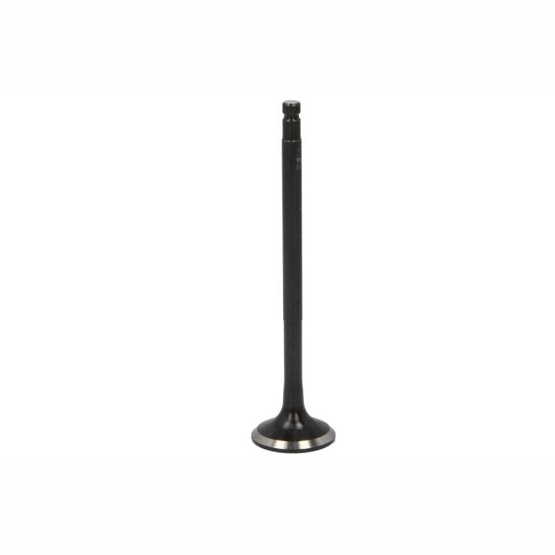 NE 148089000200 Exhaust Valve