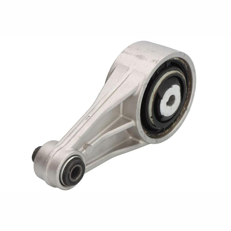 DELPHI TEM007 Engine Mount