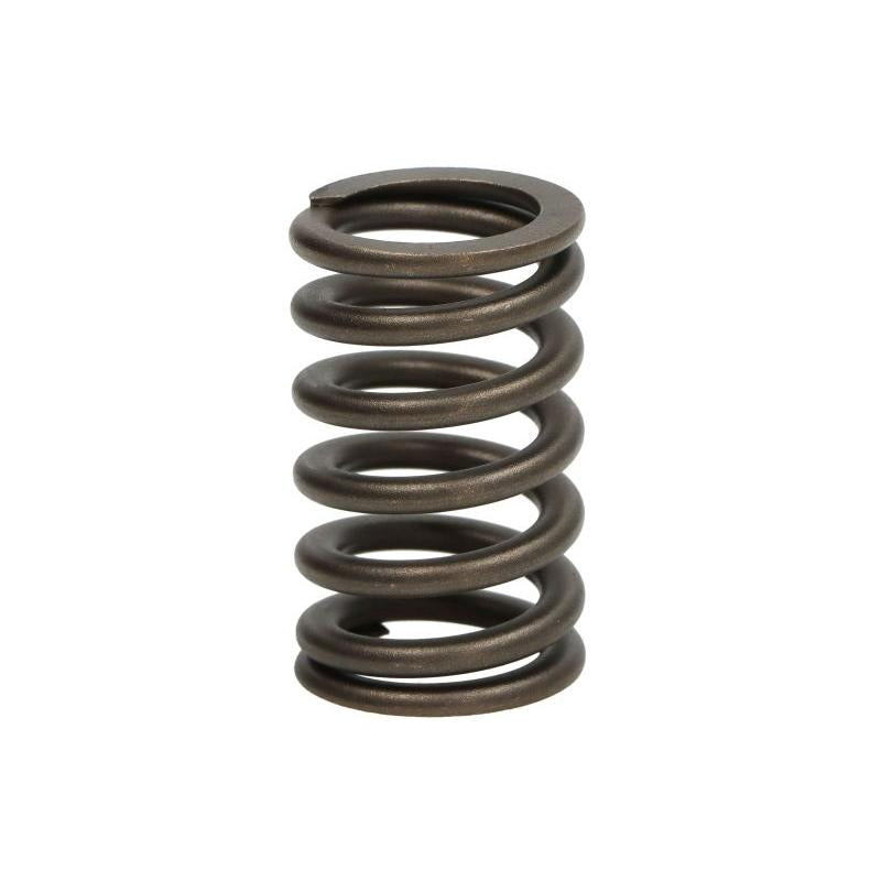 FPT 2831473-FPT Valve Spring