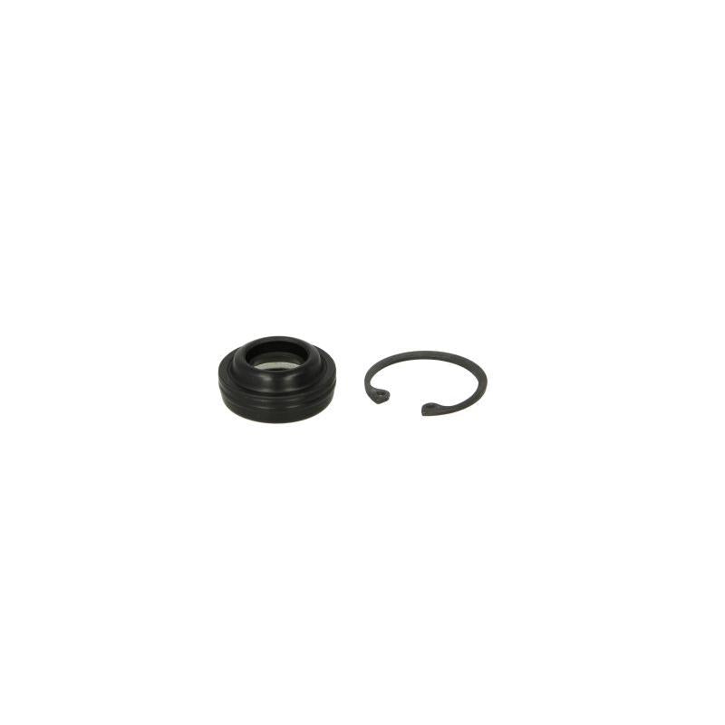 SANTECH /MT2248 Seal Ring