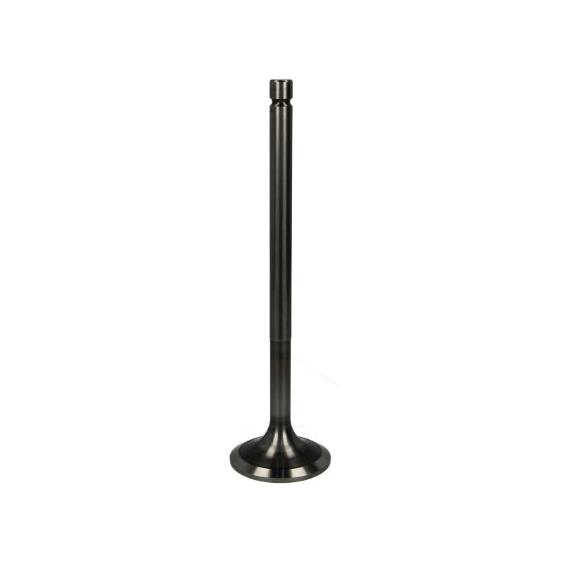 PARADOWSCY PDAF006 Exhaust Valve