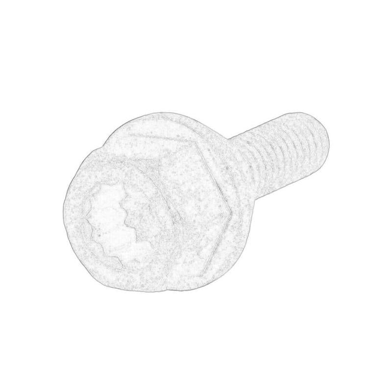 OE VW WHT001163B Water Pump Pulley Bolt