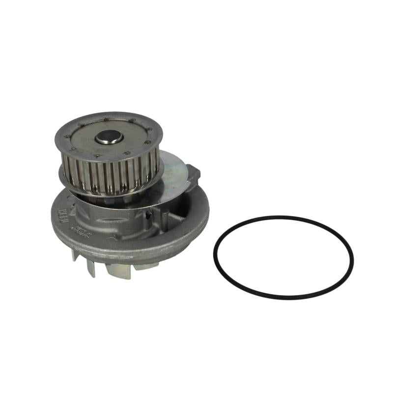 HEPU P398 Water Pump