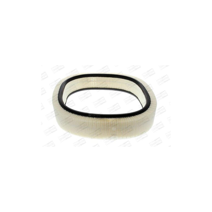 Champion Caf100229R Air Filter