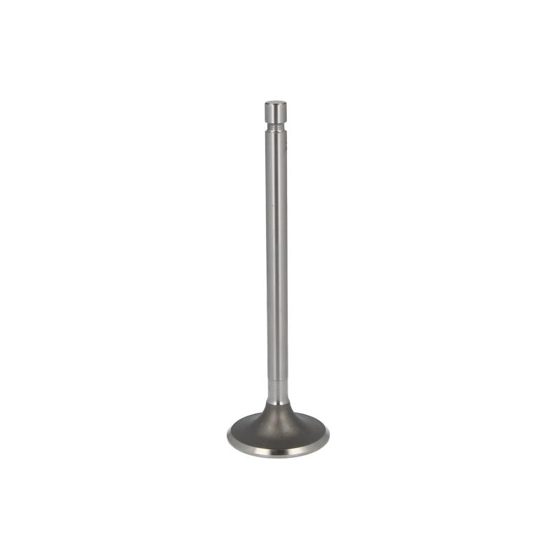 PARADOWSCY PURS007 Intake Valve