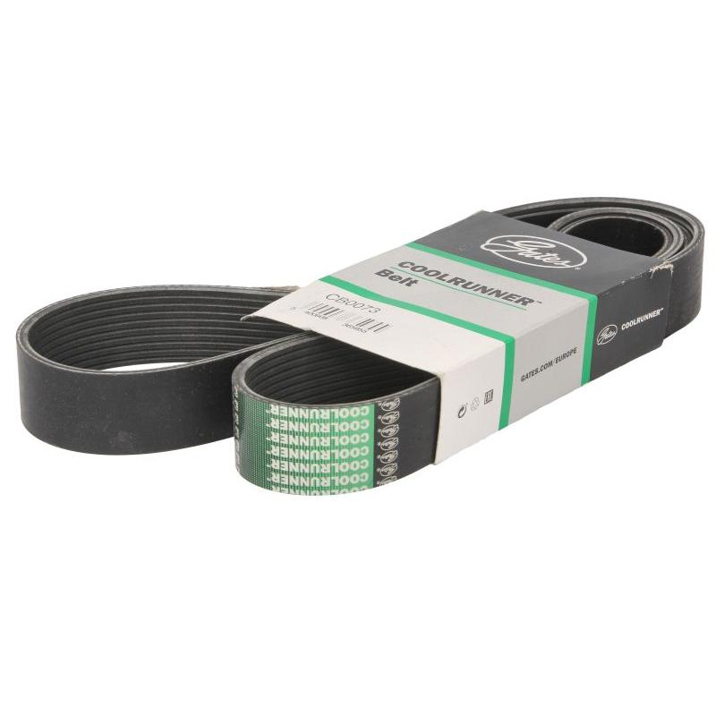 GATES GATCB0073 V-Ribbed Belt