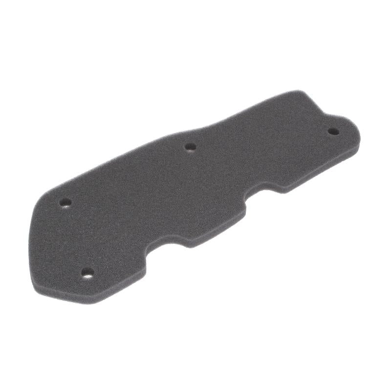 RMS 100602481 Air Filter