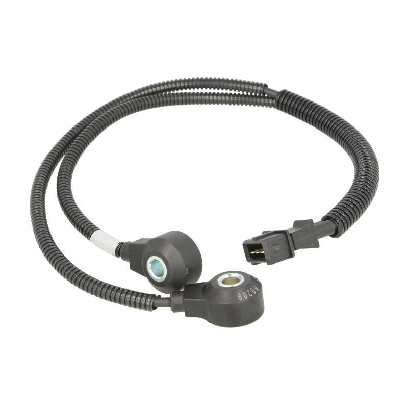 FAE AE60209 Knock Sensor