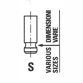 FRECCIA 6970/BMARCR Intake Valve