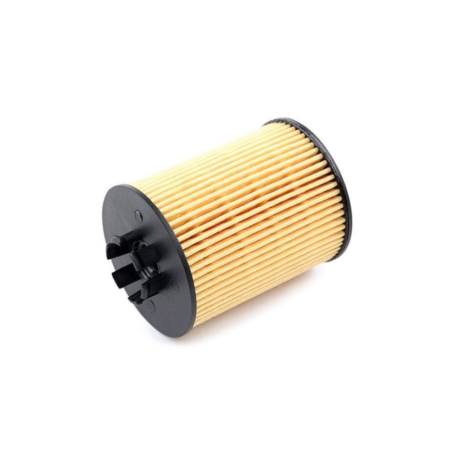 Champion Eon Titan Cof100519E Oil Filter
