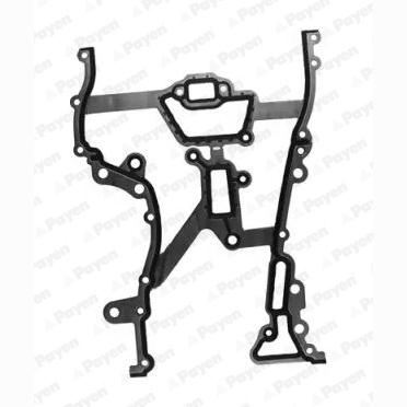 PAYEN JR5030 Timing Case Gasket