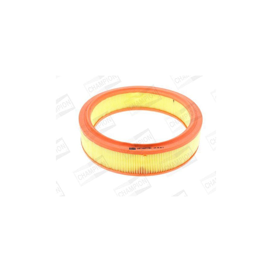 Champion Caf100713R Air Filter