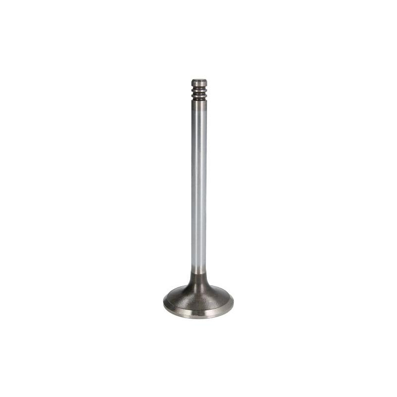 OE GERMANY 040520201203 Exhaust Valve