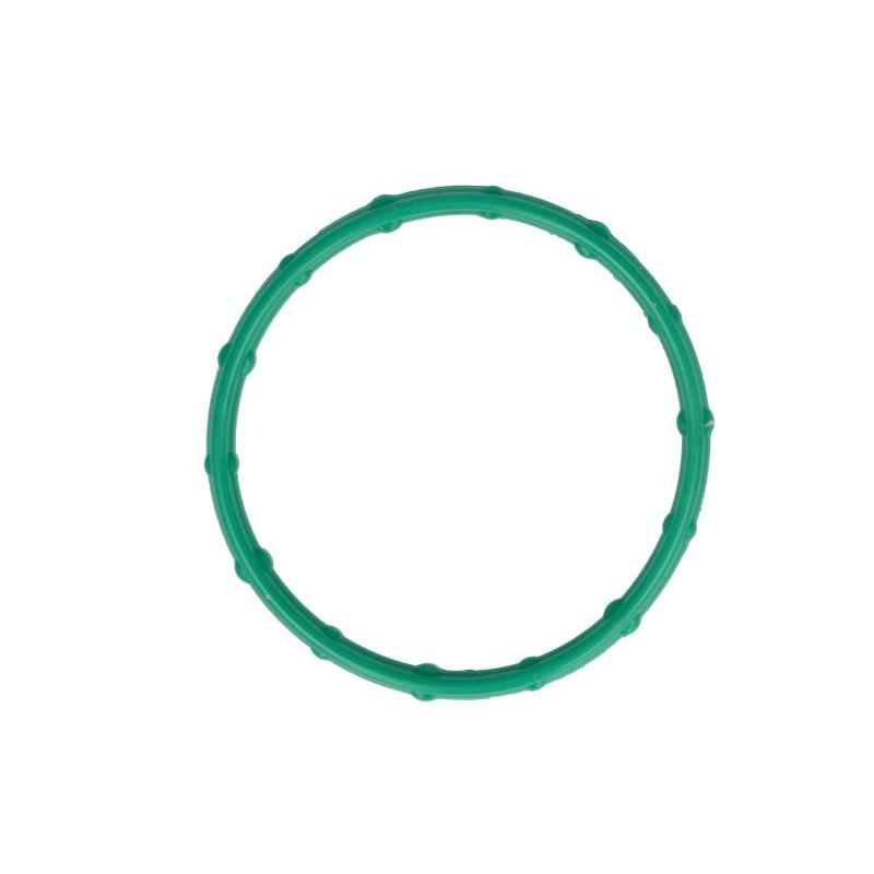 FP DIESEL R527664-FP Water Pump Gasket