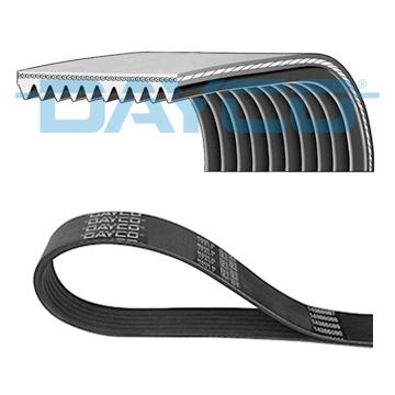 DAYCO DAY10PK1815HD V-Ribbed Belt