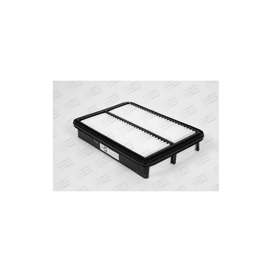 Champion U843/606 Air Filter