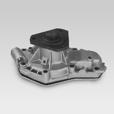 HEPU P817 Water Pump