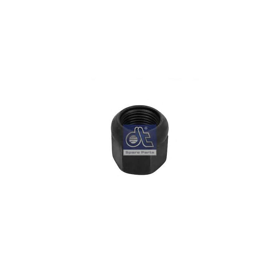 DT Spare Parts 10.10025 Wheel Nut