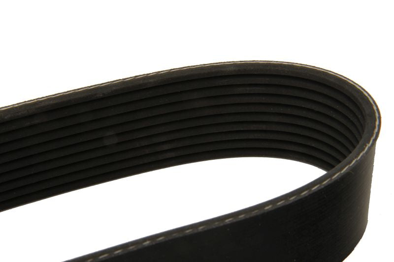 DAYCO DAY10PK1725HD V-Ribbed Belt