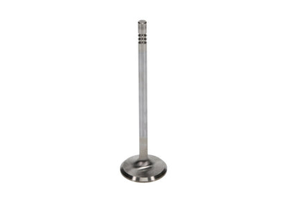 Manley Performance Manley Ford 4.6L 34mm Diameter 117.35mm Length Race Master Exhaust Valves (Set of 8)