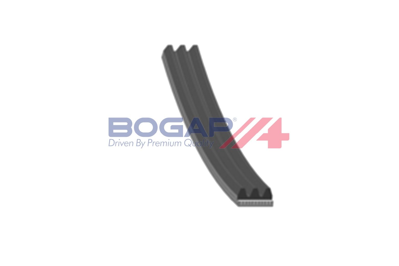 BOGAP R1316100 V-Ribbed Belt