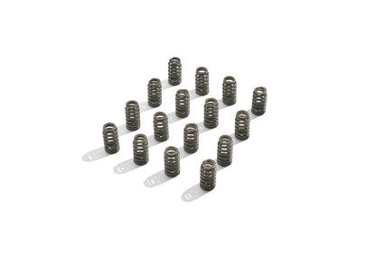 Ford Racing BOSS 302R Valve Spring Kit
