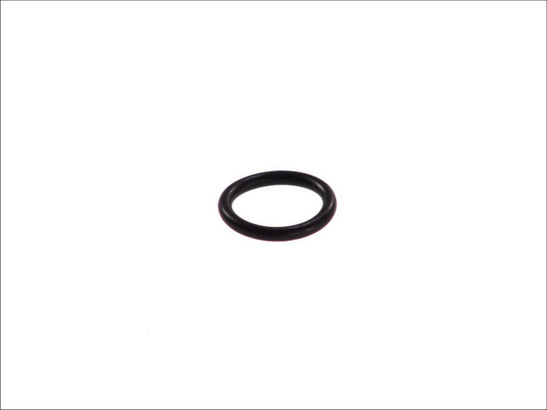 LEMA LE104185 Power Steering Pump Shaft Seal