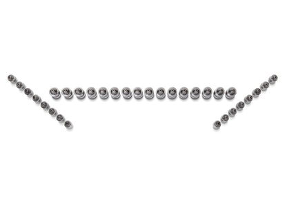 Ford Racing Ford GT and Mustang SVT 5.4L Lash Adjusters