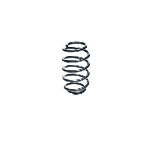 Eibach F11-75-008-10-VA Renault Clio Single Spring Pro-Kit Front | ML Performance US Car Parts