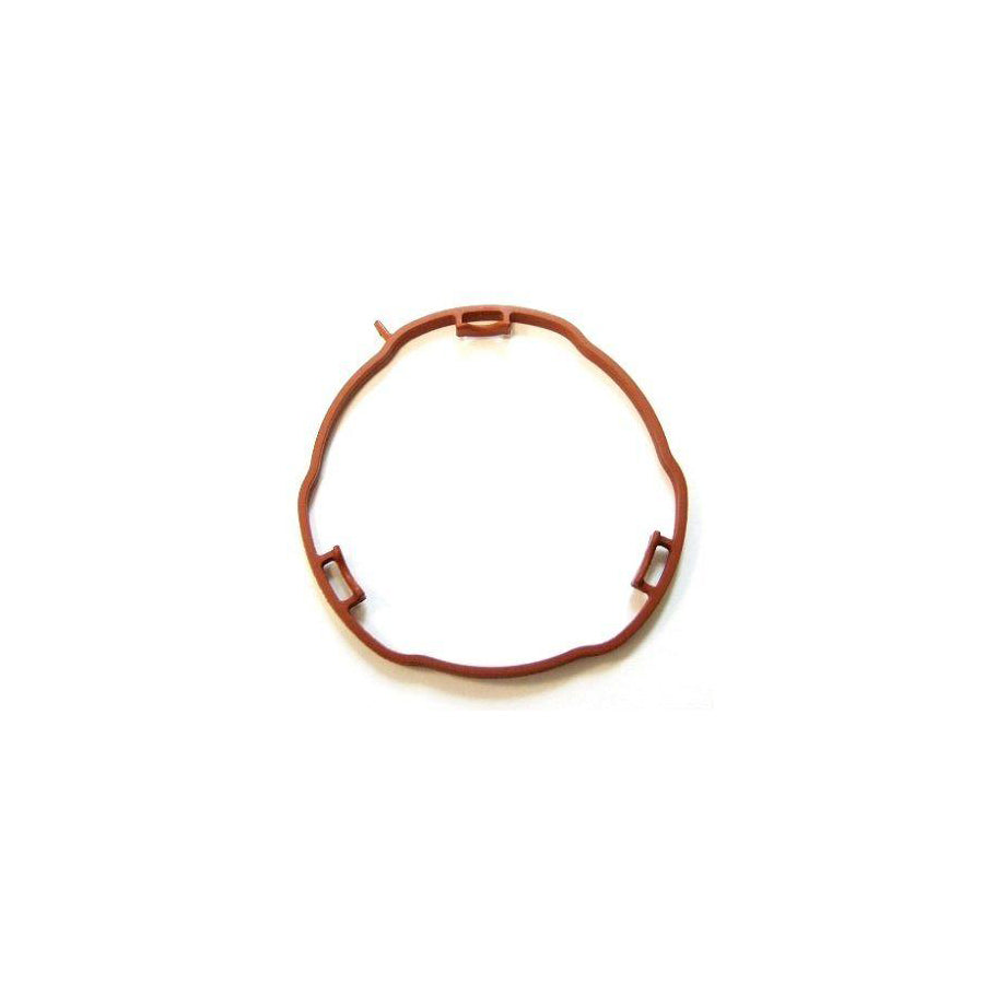 Elring 456.960 Inlet Manifold Gasket | ML Performance US Car Parts