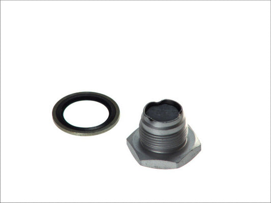 DT SPARE PARTS 2.11001 Oil Sump Gasket