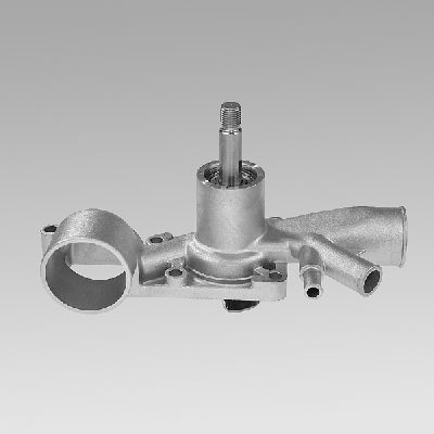 HEPU P875 Water Pump