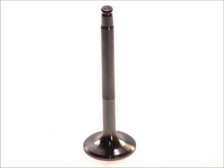 PARADOWSCY PMER004 Exhaust Valve